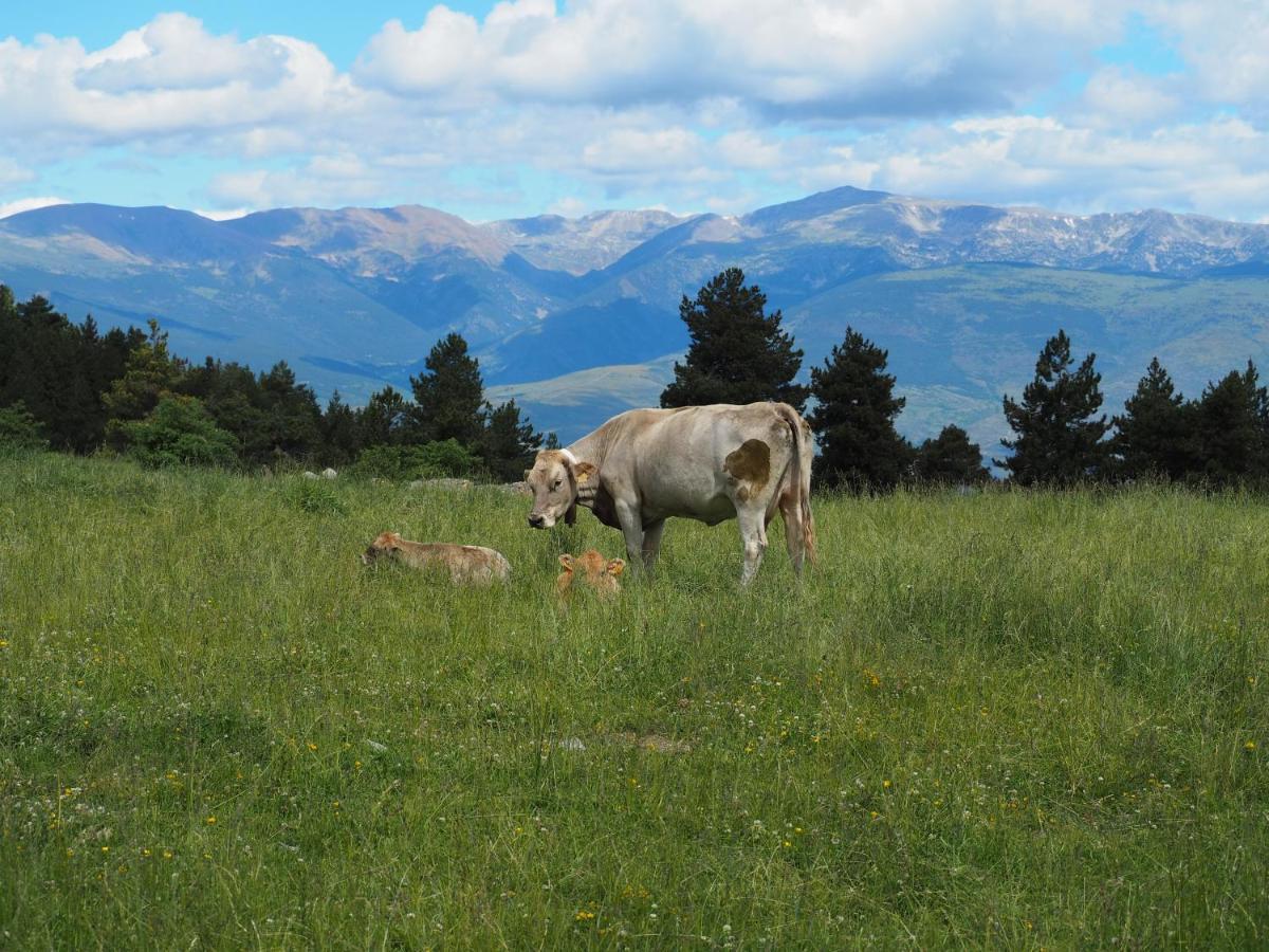 Apartament A La Molina, Grans Vistes, Llar De Foc La Molina  Kültér fotó
